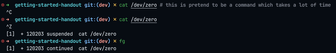 在Linux上运行一个执行时间较长的命令。使用 Ctrl+C 来中断它的执行；使用 Ctrl+Z 来暂停它的执行；使用 fg 来恢复它的执行。
